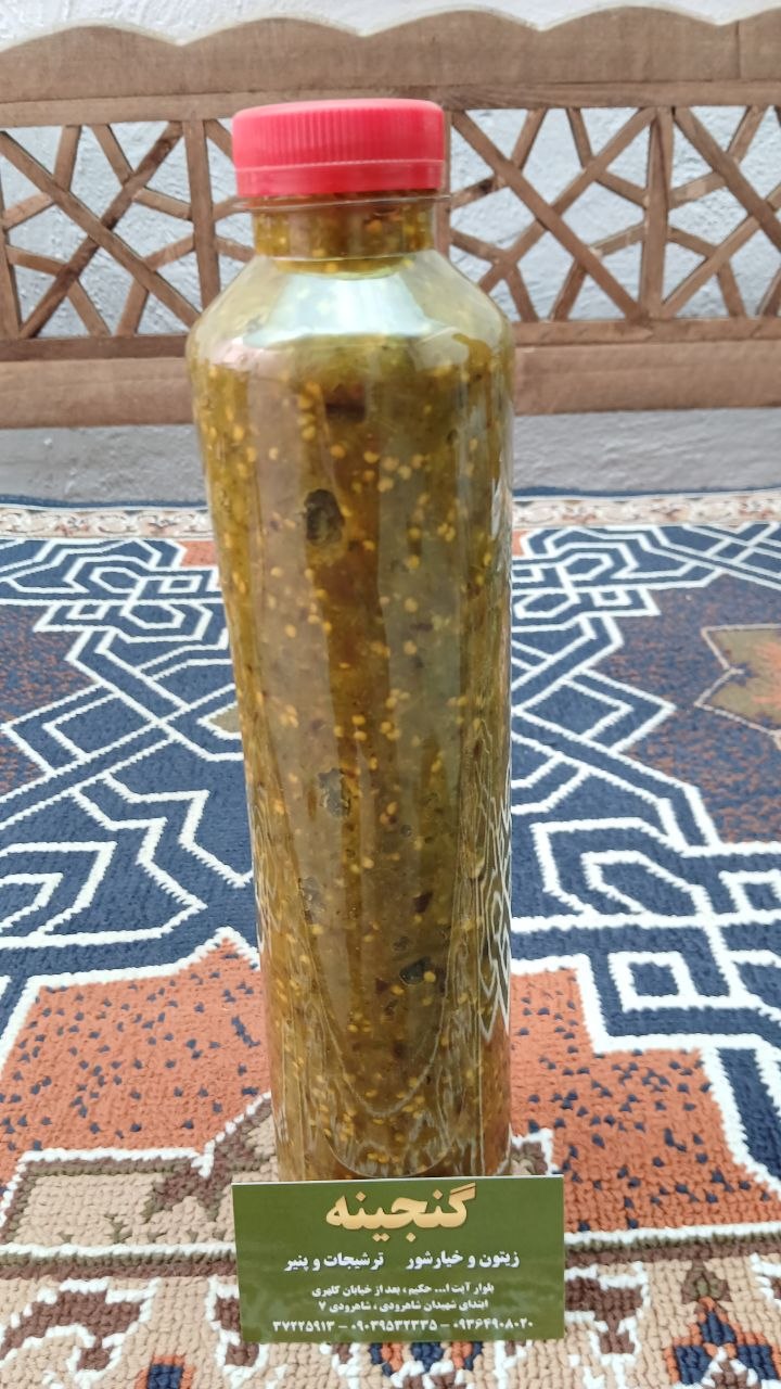 ترشی نازخاتون
