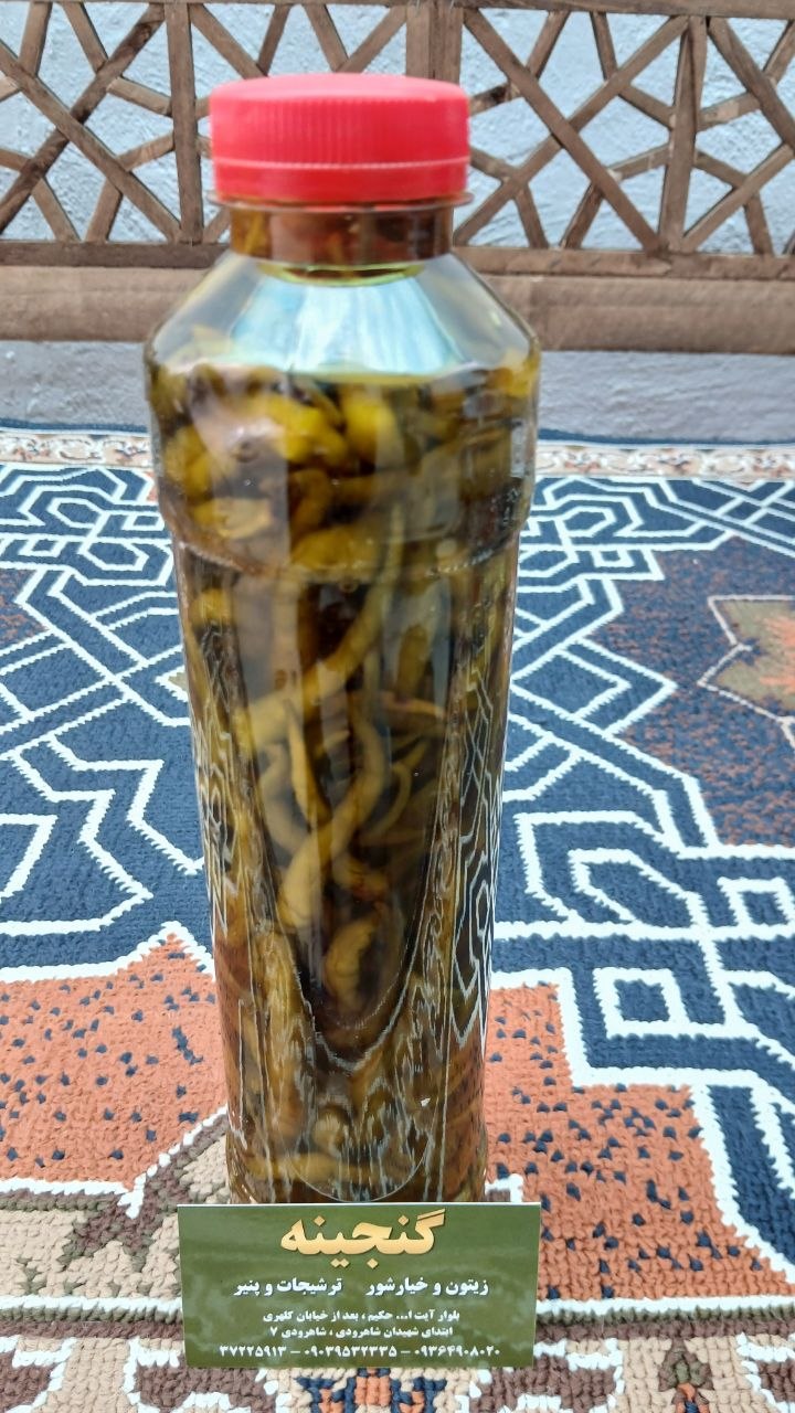 فلفل سوزنی