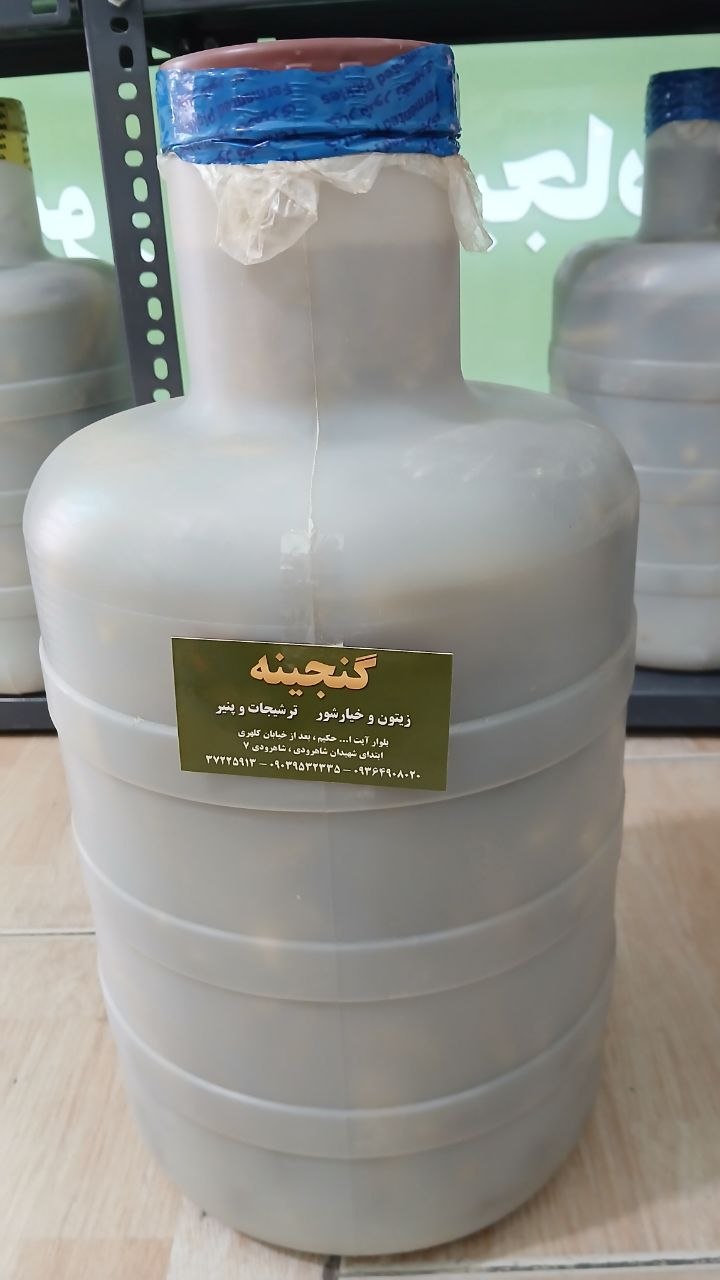 خیارشور نمکی ویژه
